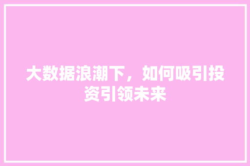 大数据浪潮下，如何吸引投资引领未来