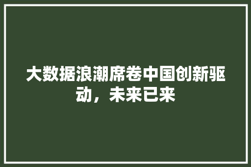 大数据浪潮席卷中国创新驱动，未来已来