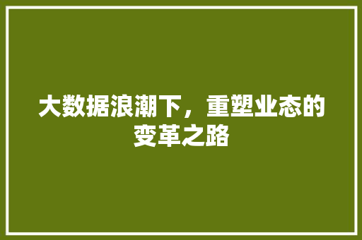 大数据浪潮下，重塑业态的变革之路