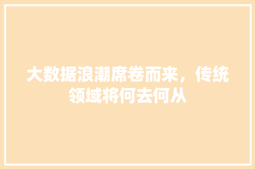 大数据浪潮席卷而来，传统领域将何去何从