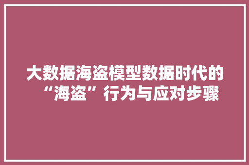 大数据海盗模型数据时代的“海盗”行为与应对步骤