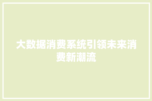 大数据消费系统引领未来消费新潮流