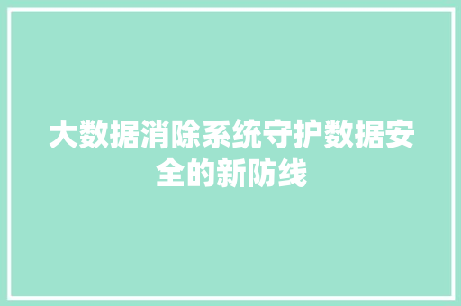 大数据消除系统守护数据安全的新防线 大数据消除系统守护数据安全的新防线