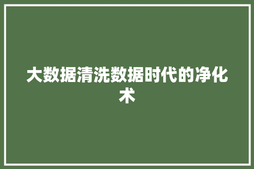 大数据清洗数据时代的净化术