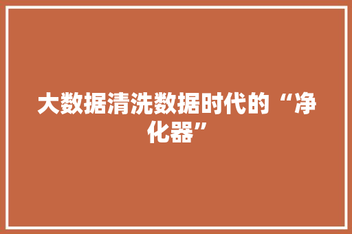 大数据清洗数据时代的“净化器”