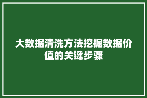 大数据清洗方法挖掘数据价值的关键步骤