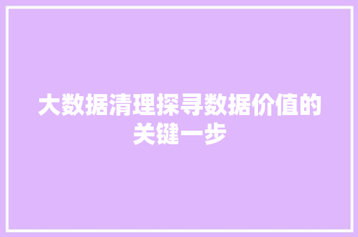 大数据清理探寻数据价值的关键一步 大数据清理探寻数据价值的关键一步