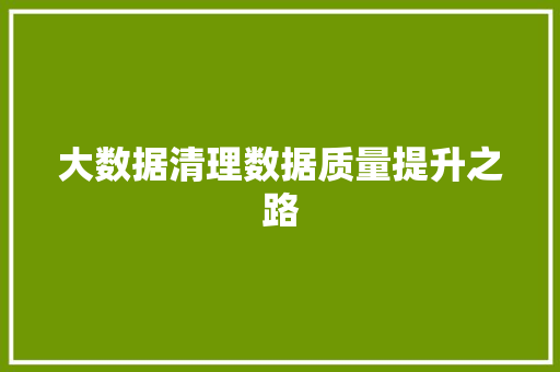 大数据清理数据质量提升之路 大数据清理数据质量提升之路