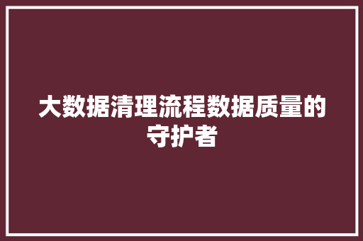 大数据清理流程数据质量的守护者 大数据清理流程数据质量的守护者