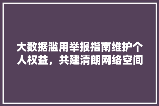 大数据滥用举报指南维护个人权益,共建清朗网络空间 大数据滥用举报指南维护个人权益,共建清朗网络空间