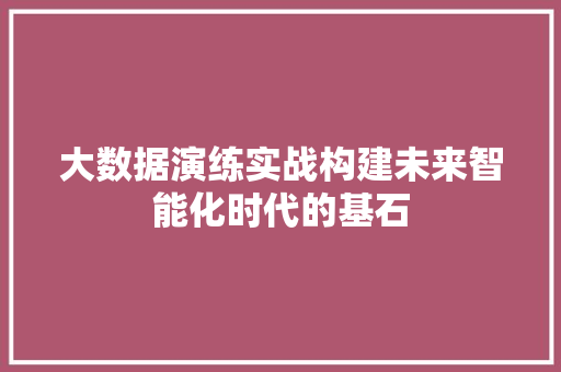 大数据演练实战构建未来智能化时代的基石