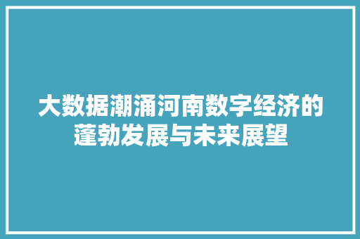 大数据潮涌河南数字经济的蓬勃发展与未来展望