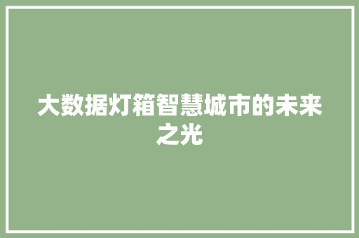 大数据灯箱智慧城市的未来之光 操作系统 大数据灯箱智慧城市的未来之光 操作系统