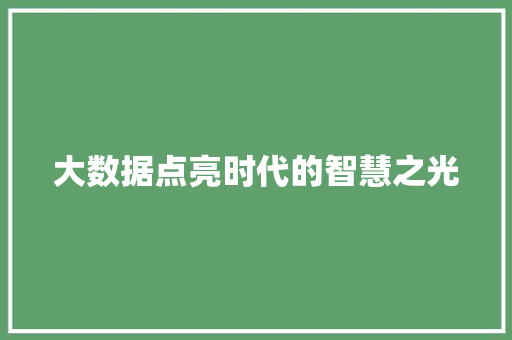 大数据点亮时代的智慧之光 操作系统