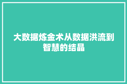 大数据炼金术从数据洪流到智慧的结晶 网络技术