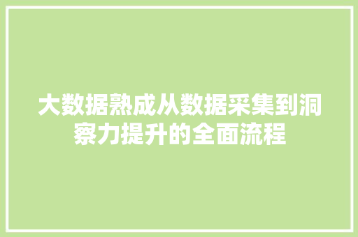 大数据熟成从数据采集到洞察力提升的全面流程