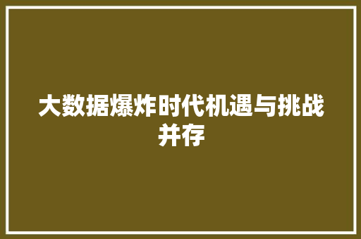 大数据爆炸时代机遇与挑战并存