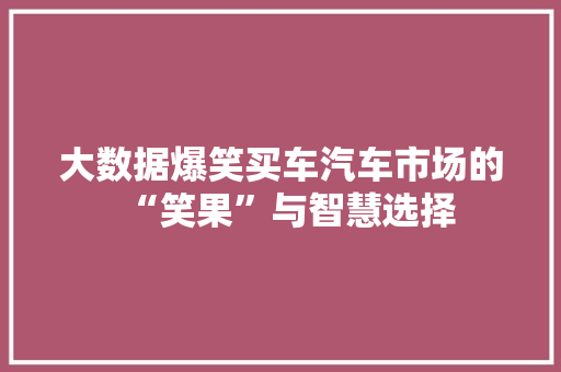 大数据爆笑买车汽车市场的“笑果”与智慧选择