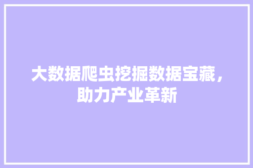 大数据爬虫挖掘数据宝藏，助力产业革新