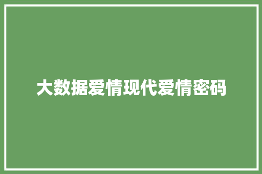 大数据爱情现代爱情密码