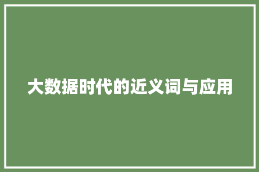 大数据时代的近义词与应用