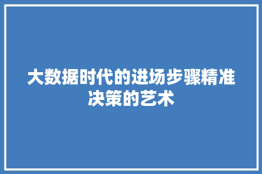 大数据时代的进场步骤精准决策的艺术