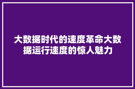 大数据时代的速度革命大数据运行速度的惊人魅力
