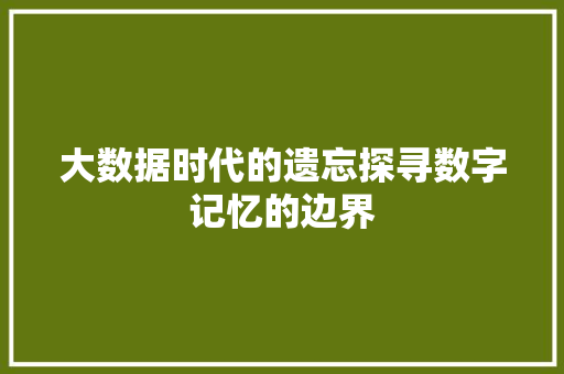 大数据时代的遗忘探寻数字记忆的边界