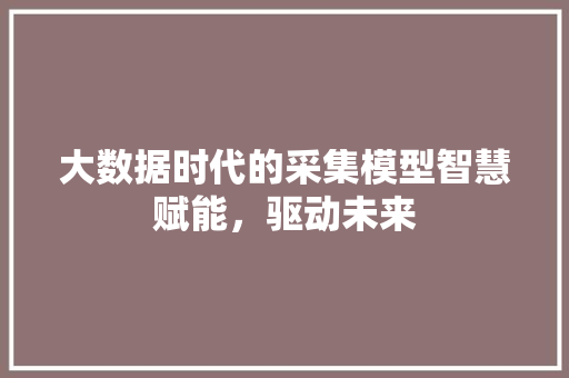 大数据时代的采集模型智慧赋能，驱动未来