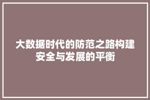 大数据时代的防范之路构建安全与发展的平衡