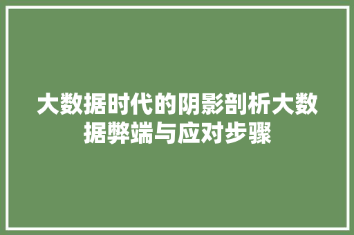 大数据时代的阴影剖析大数据弊端与应对步骤