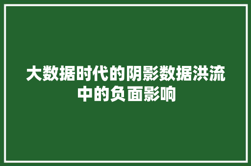 大数据时代的阴影数据洪流中的负面影响