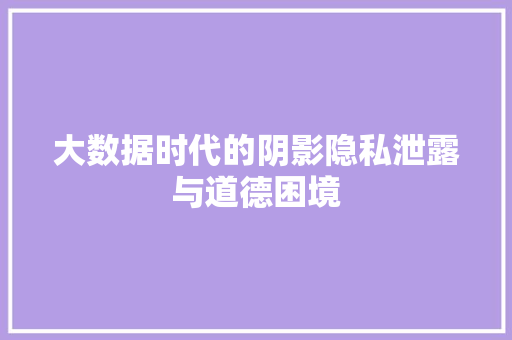 大数据时代的阴影隐私泄露与道德困境 电脑故障维修