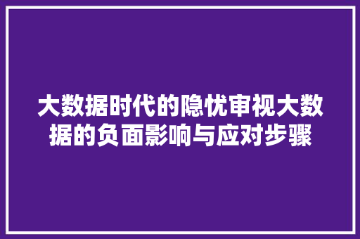 大数据时代的隐忧审视大数据的负面影响与应对步骤