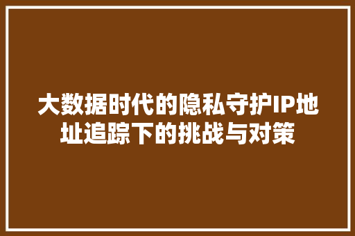 大数据时代的隐私守护IP地址追踪下的挑战与对策