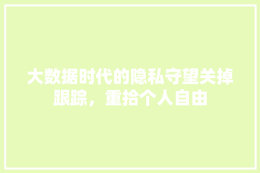 大数据时代的隐私守望关掉跟踪，重拾个人自由