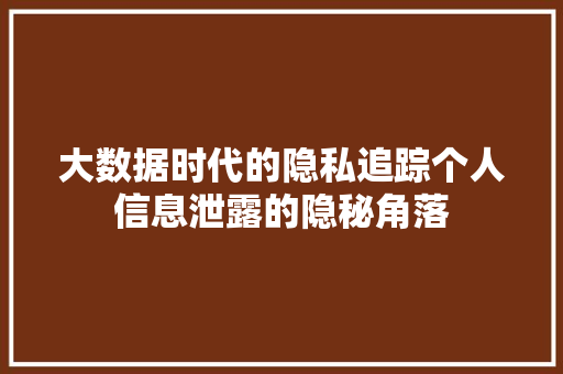 大数据时代的隐私追踪个人信息泄露的隐秘角落