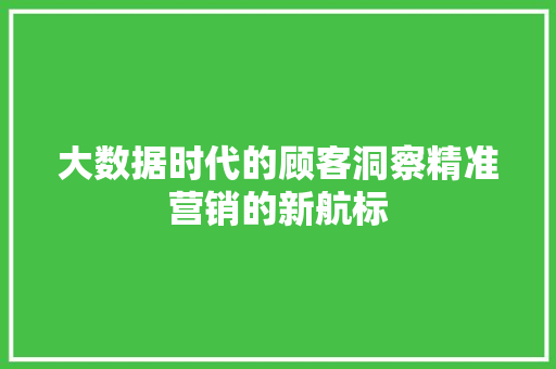 大数据时代的顾客洞察精准营销的新航标 编程语言