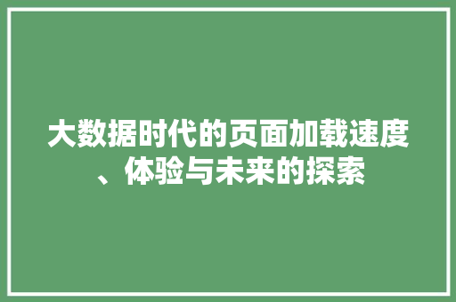 大数据时代的页面加载速度、体验与未来的探索