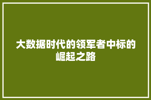 大数据时代的领军者中标的崛起之路