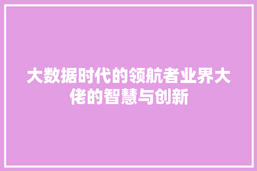 大数据时代的领航者业界大佬的智慧与创新