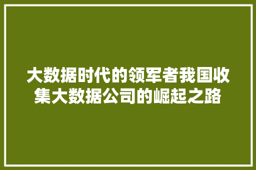大数据时代的领军者我国收集大数据公司的崛起之路