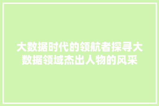 大数据时代的领航者探寻大数据领域杰出人物的风采 编程语言