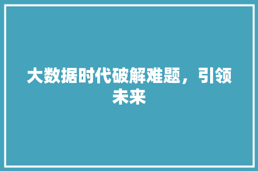 大数据时代破解难题，引领未来