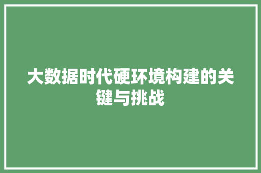 大数据时代硬环境构建的关键与挑战