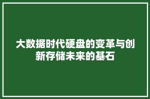 大数据时代硬盘的变革与创新存储未来的基石
