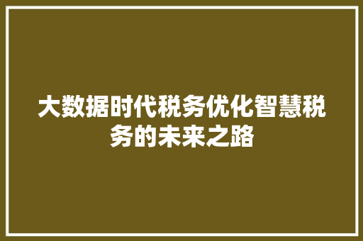 大数据时代税务优化智慧税务的未来之路