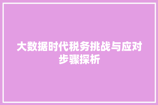 大数据时代税务挑战与应对步骤探析