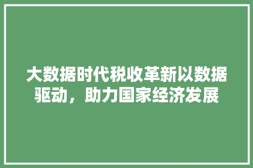 大数据时代税收革新以数据驱动，助力国家经济发展