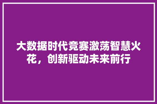 大数据时代竞赛激荡智慧火花，创新驱动未来前行